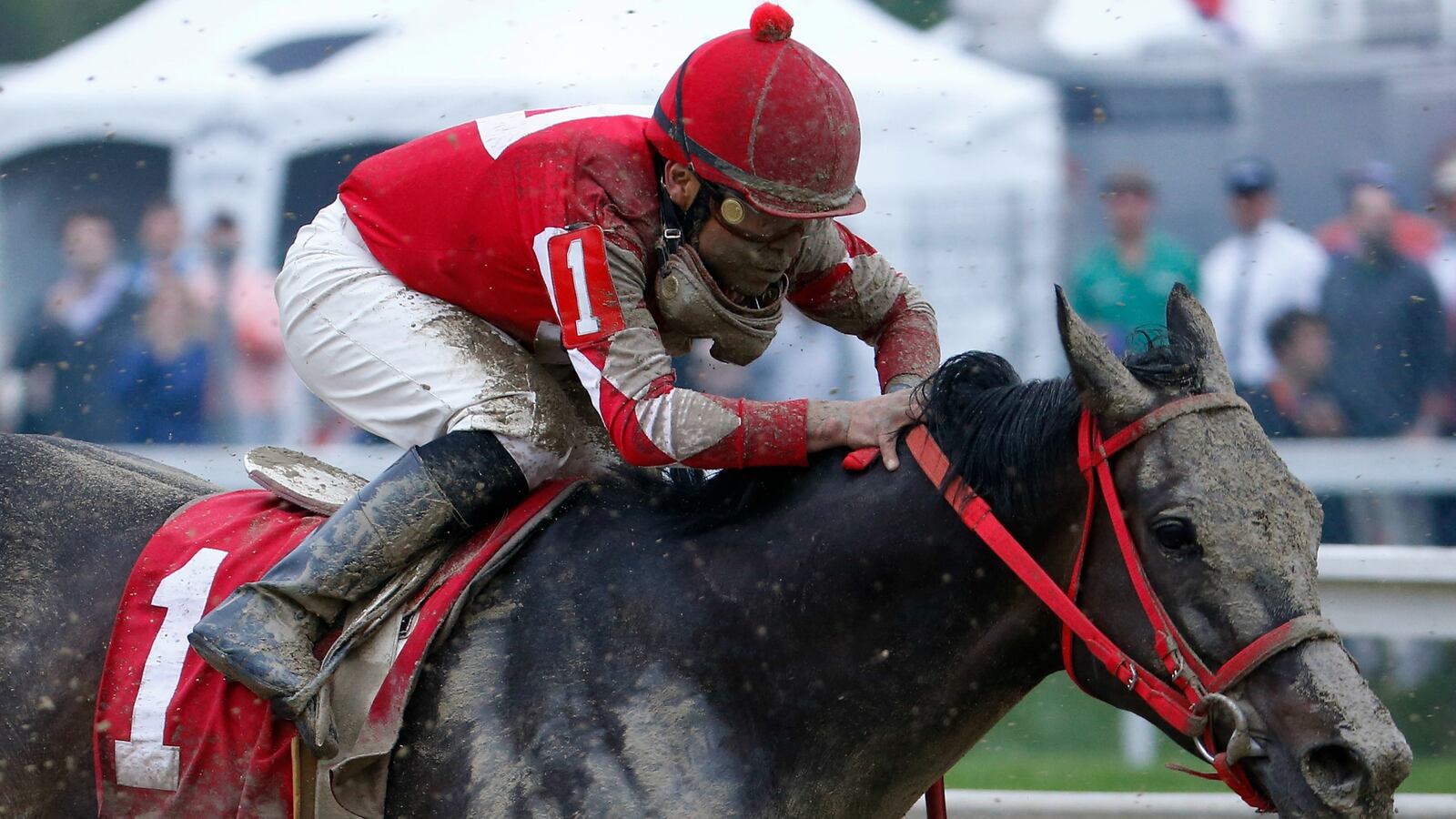 cheats/2016/05/21/two-horses-die-at-early-preakness-races/160521-preakness-horse-cheat_wt6ukk
