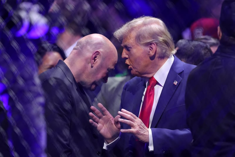 President-elect Donald Trump speaks with Dana White (left) during UFC 309 at Madison Square Garden.