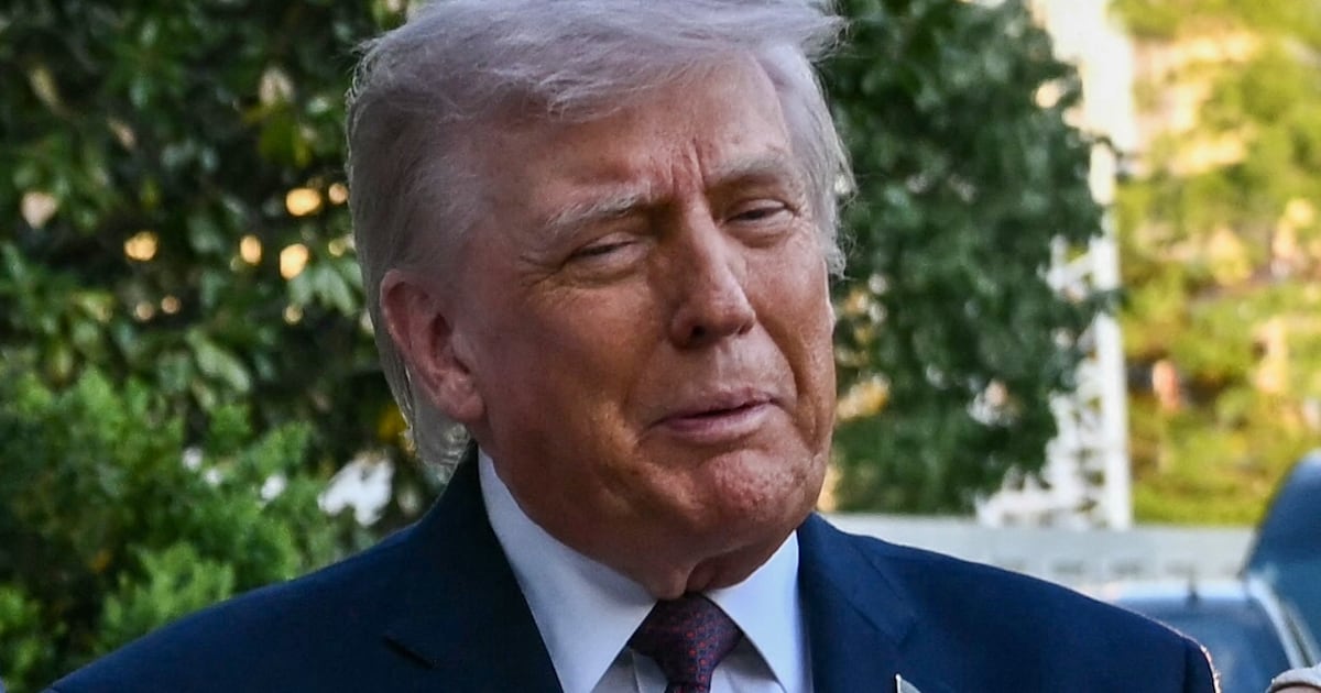 Trump Goon Reveals Incoming Citizenship Banking Plot