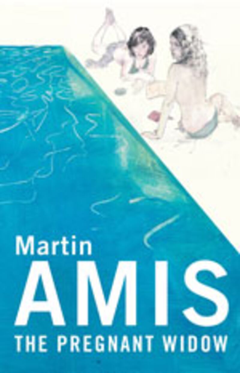 articles/2010/02/13/englands-punching-bag-martin-amis/book-cover---cole-martin-amis_mvpdeg