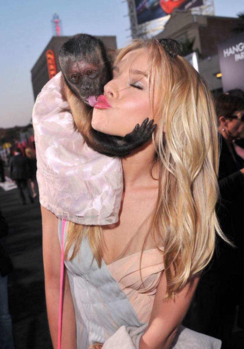 galleries/2011/05/26/best-celebrity-twitter-pictures/mp---gallery-week-in-twit-pikristen-bell_cwdsjh