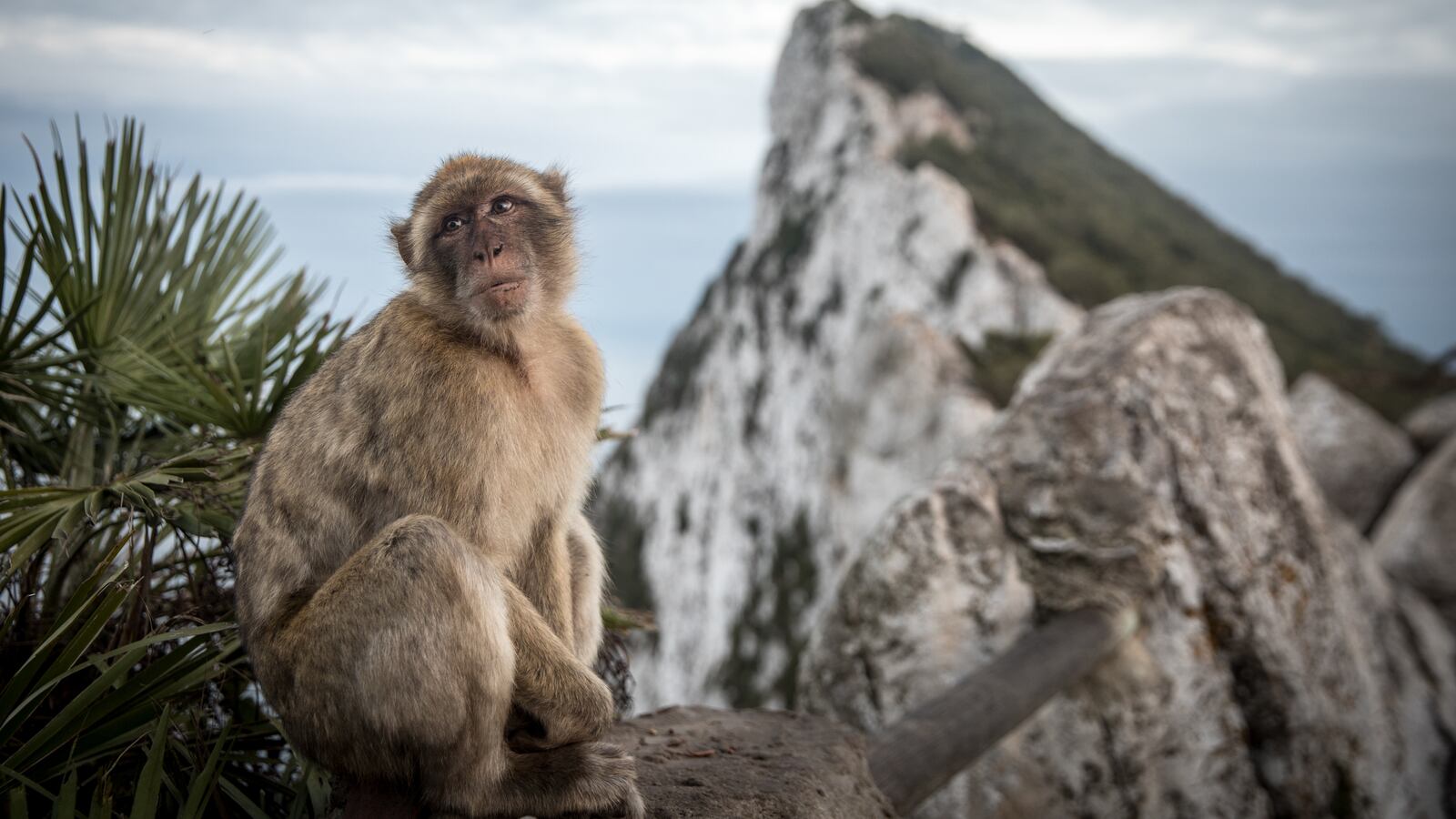 GettyImages-1032530664_ndvjnm