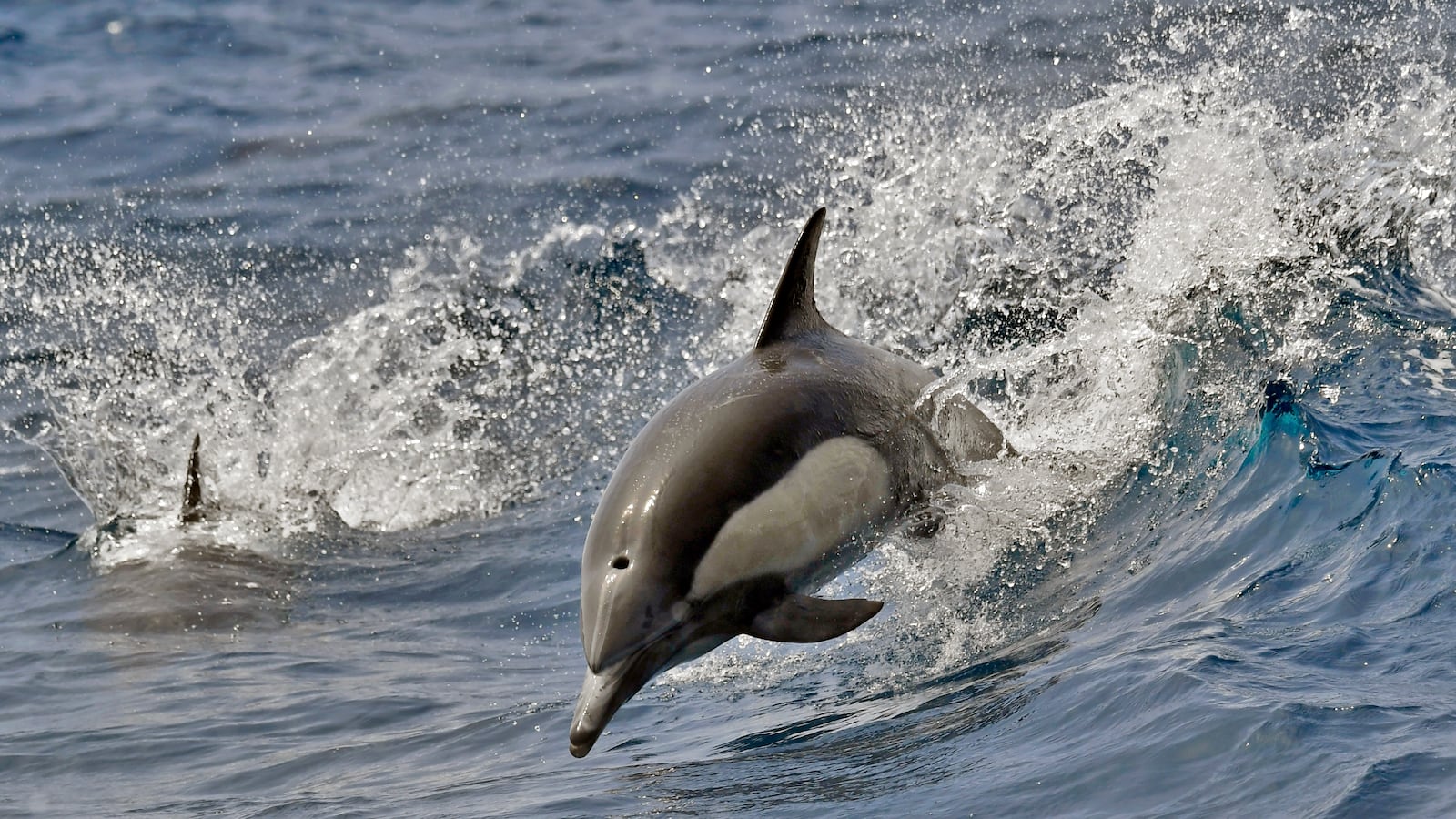 GettyImages-1233559824_sefzqe