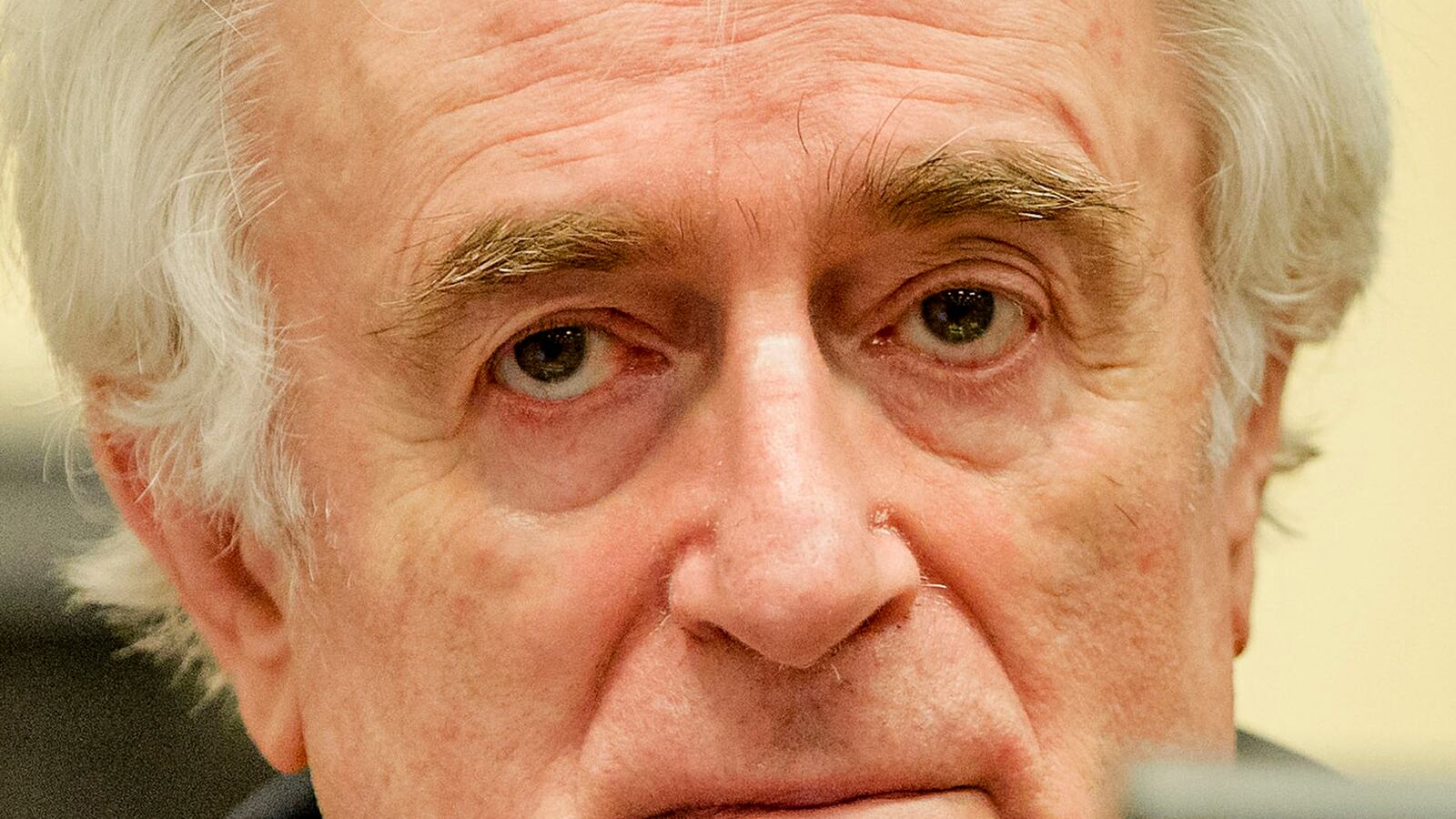 articles/2016/03/24/how-radovan-karadzic-embraced-evil/160324-Excerpt-butchers-trial-tease_lrjvv3