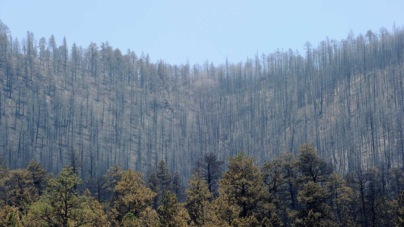 GettyImages-115989752_mpw1tm