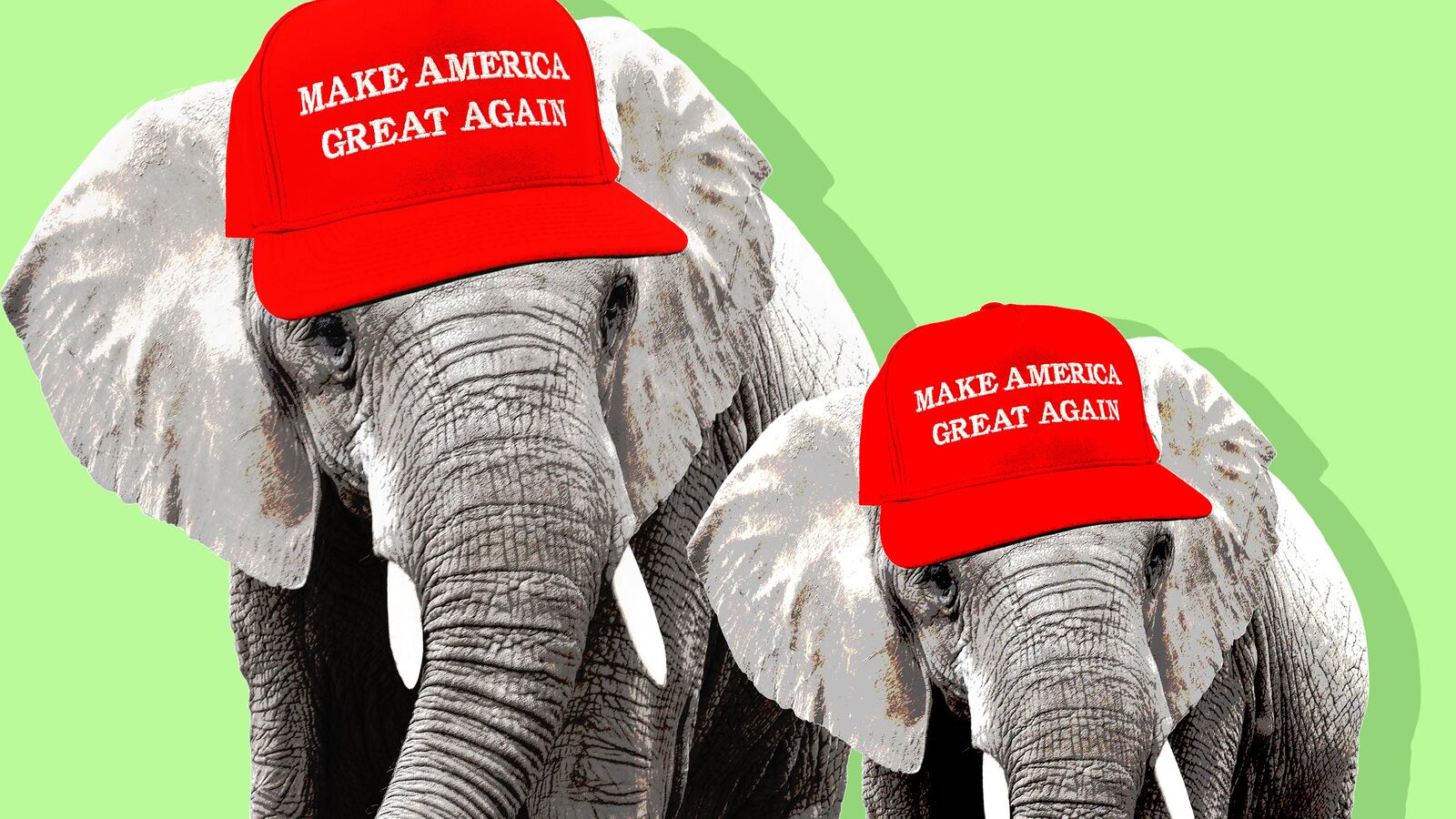 articles/2017/02/14/conservatives-sell-their-souls-to-trump-over-media-bashing/170213-WILSON-nevertrumpers-tease_tztgj2