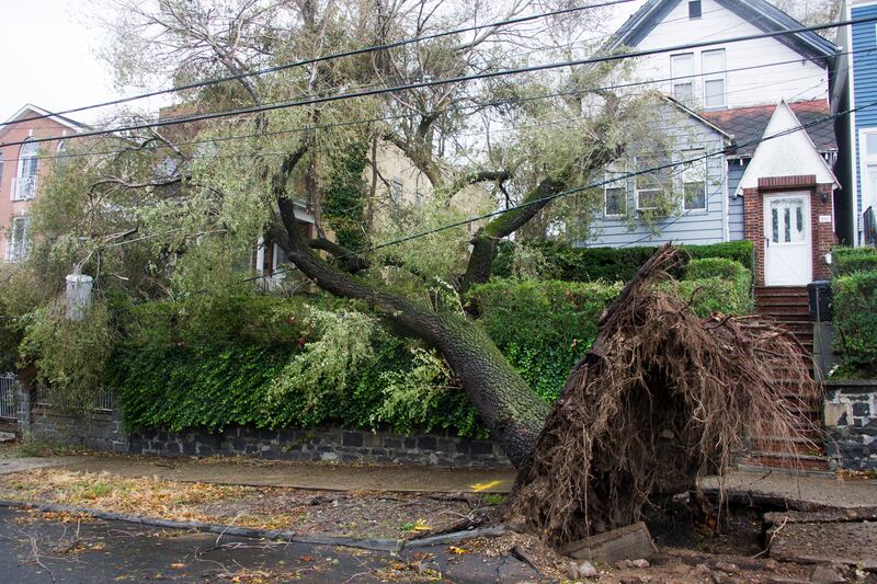 galleries/2012/11/28/sandy-vs-santa-a-tale-of-two-holidays-photos/trees-holiday-vs-sandy2_cxb5rk