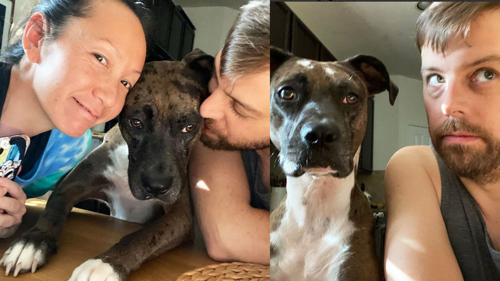 211125-Briquelet-cover-up-murder-tease_l2cgh2