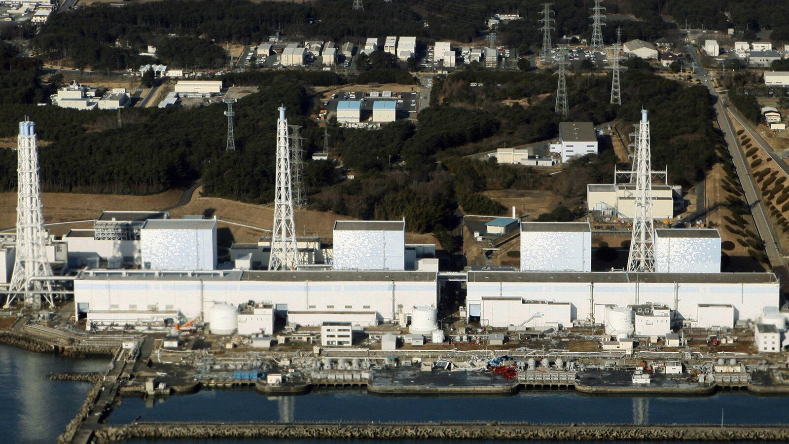 cheats/2012/05/29/radioactive-bluefin-tuna-enters-u-s/bluefin-tuna-radiation-cheat_sm3nfk