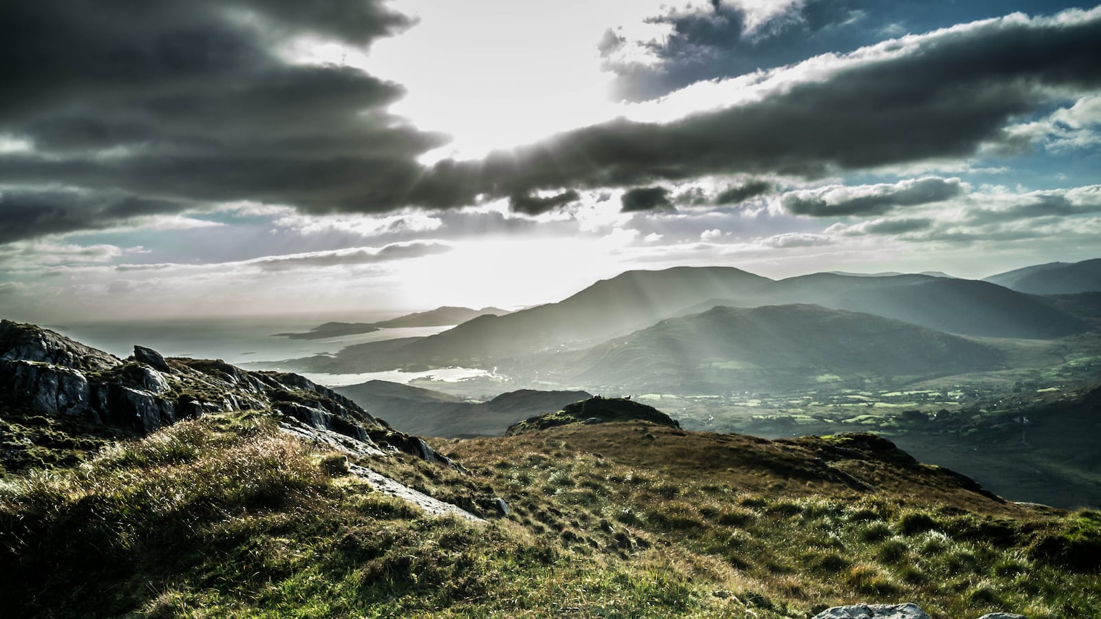 articles/2014/02/28/tiger-tiger-the-hunt-for-the-great-irish-novel/140227-fox-irish-tease_yj96hf