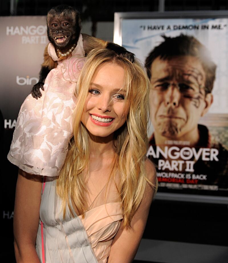 galleries/2011/05/20/animal-red-carpet/animal-red-carpet---bell_efnwqn