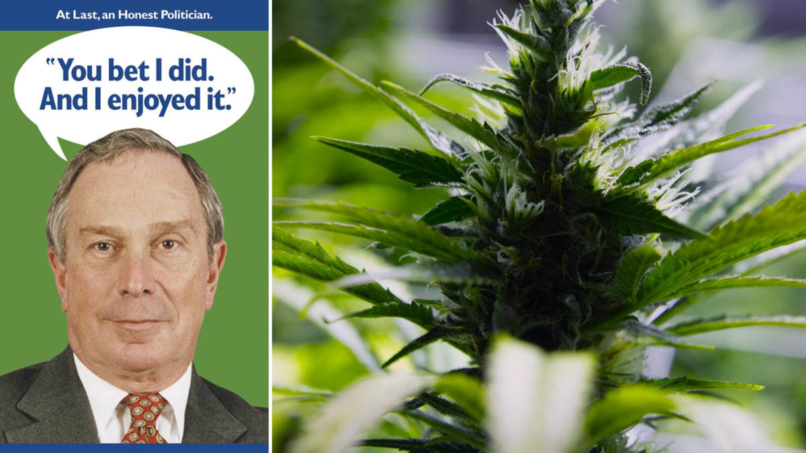 articles/2013/07/06/in-las-vegas-mayors-go-rogue-on-pot-legalization/130702-mayors-war-on-drugs-taylor-tease_ms6asj