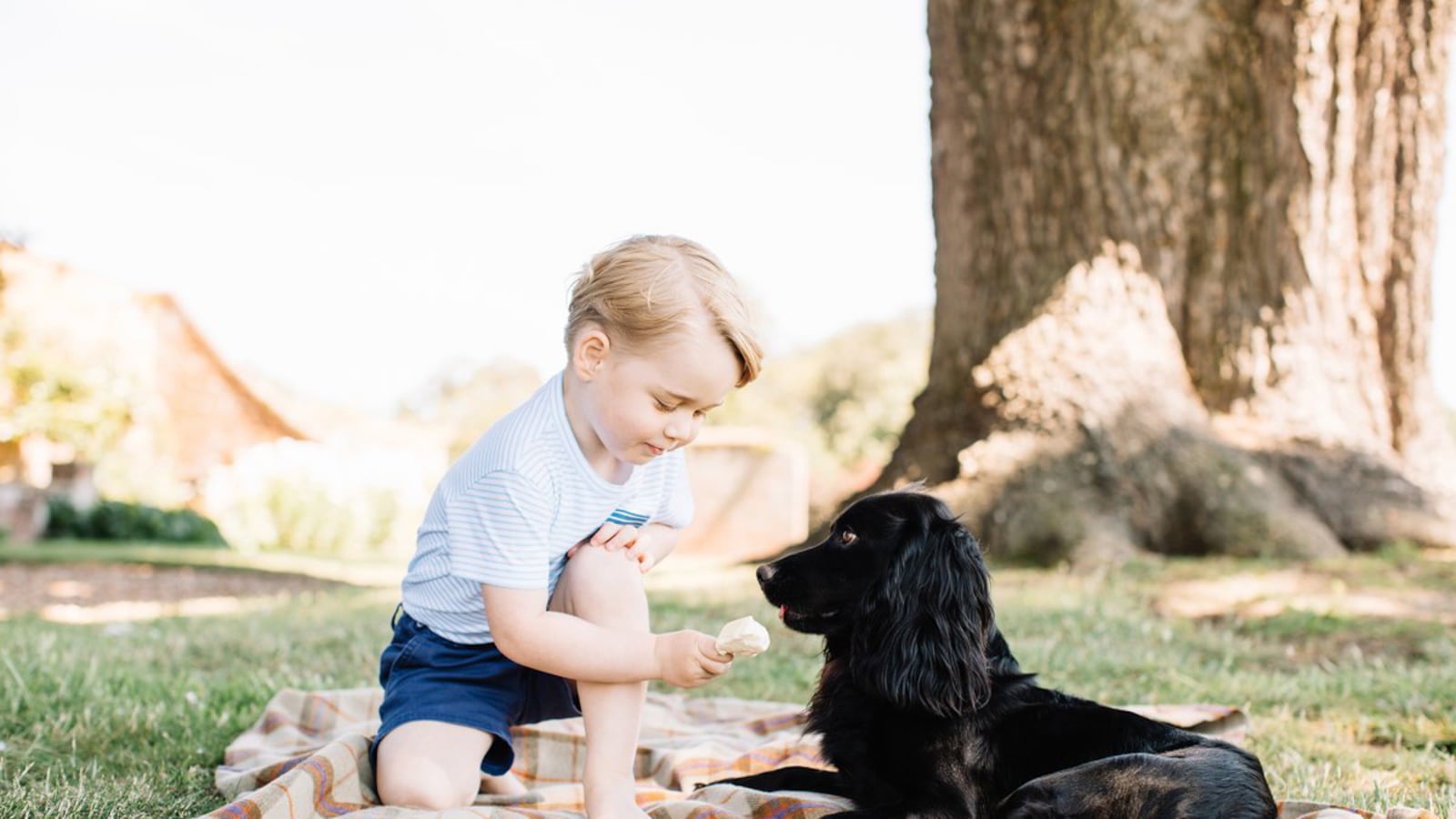 articles/2016/07/22/prince-george-gives-lupo-a-lick-of-ice-cream-as-kate-middleton-celebrates-his-third-birthday/george-lupo_pouwvi