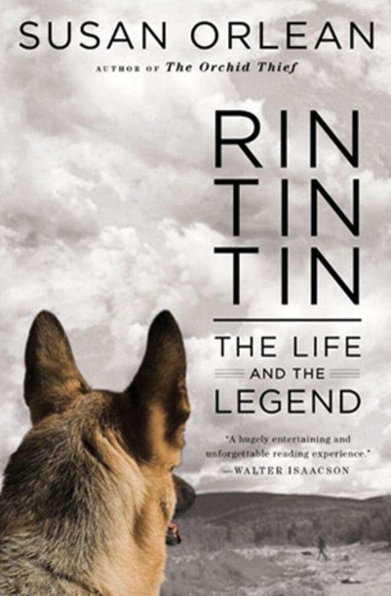 galleries/2011/12/06/the-year-in-animals-bronx-zoo-cobra-ryan-gosling-dog-george-more-photos/animals-of-the-year-winter-rin-tin-tin_phcedi