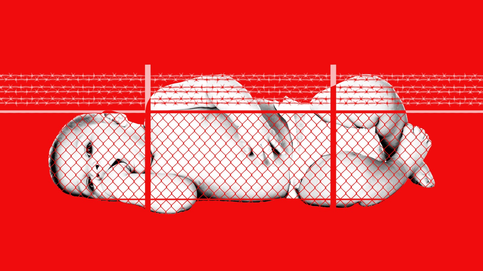 Baby behind a chain link fence with barbed wire