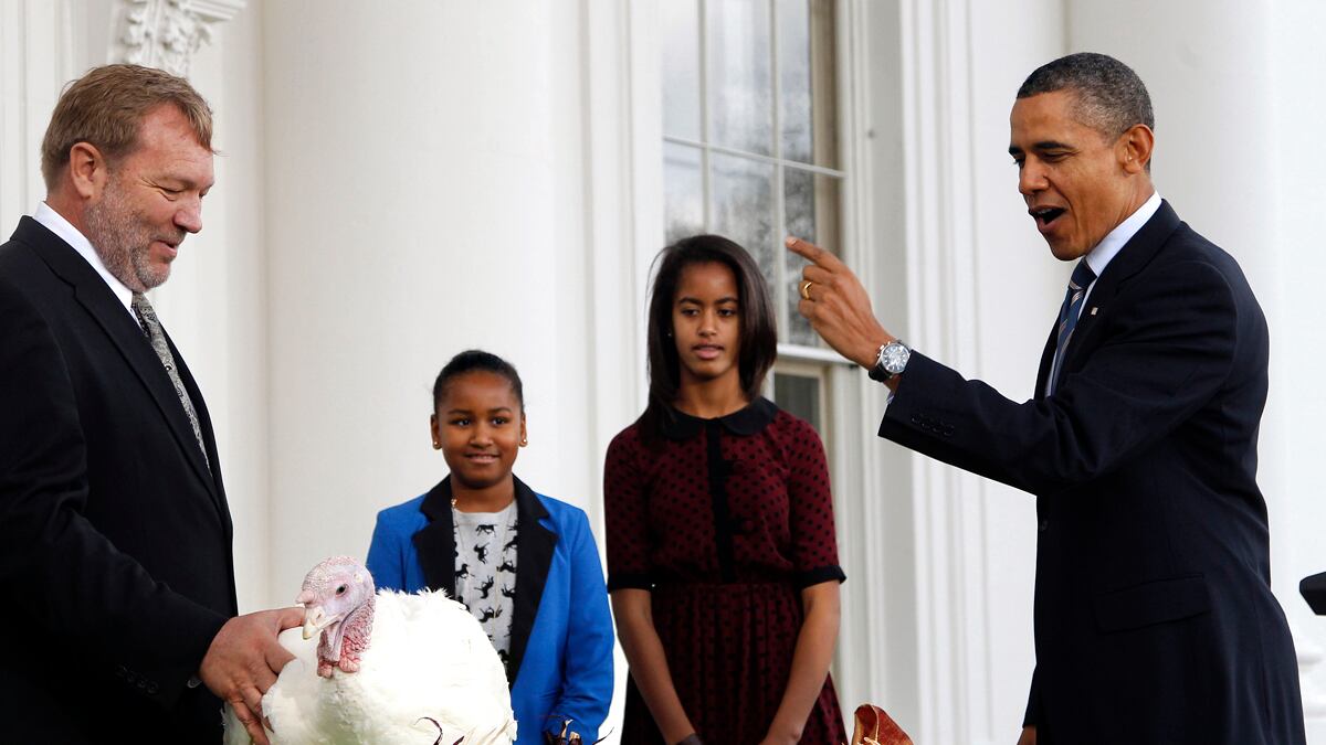 cheats/2011/11/23/obama-pardons-2-turkeys/obama-turkey-pardon-box_aqfeji