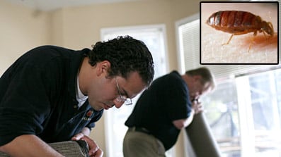 articles/2010/08/24/bedbug-outbreak-which-cities-are-most-infested/bed-bug-cities_121955_ryiolp