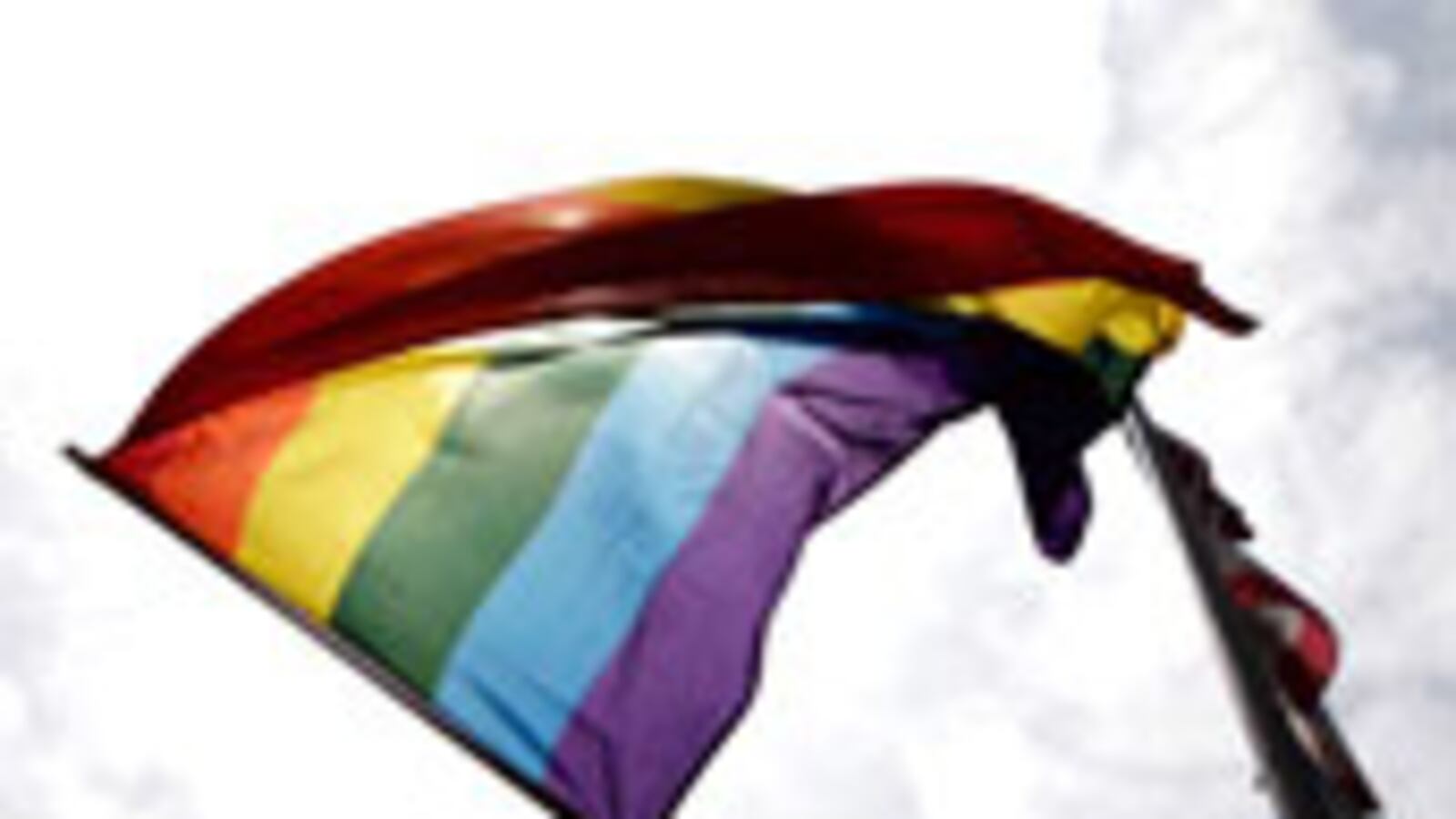 articles/2010/01/14/gay-marriages-great-hope/hirshman-gay-marriage_75363_cyxxkm