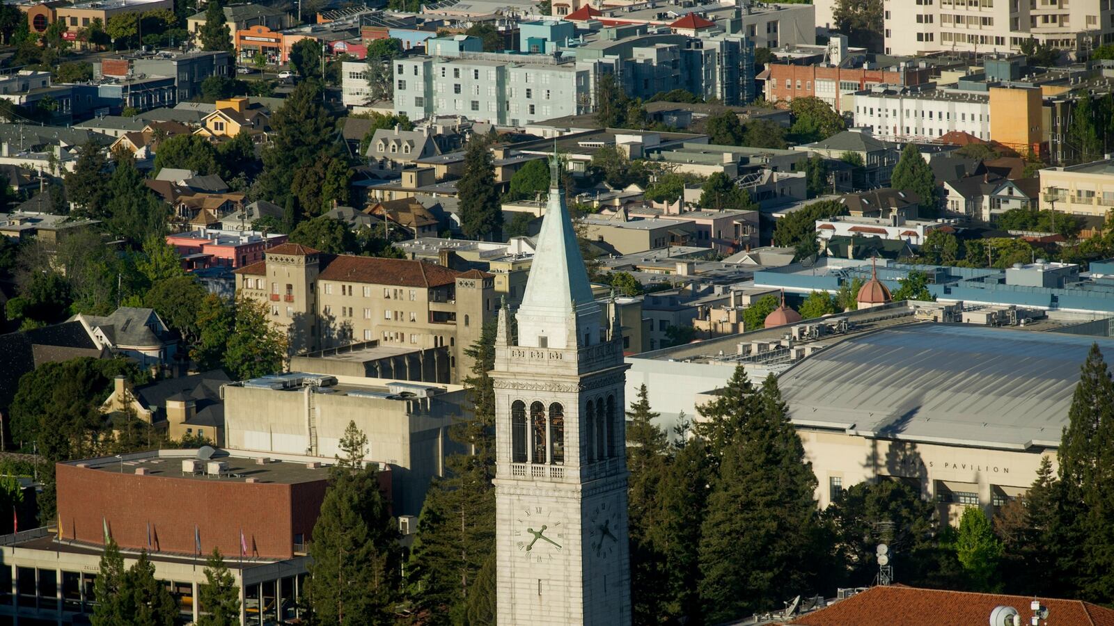 cheats/2015/12/19/u-cali-drops-private-prison-investments/151219-university-california-cheat_cwbq6l