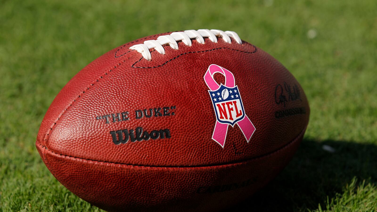 2010-10-04T120000Z_568244827_GM1E6A40MBU01_RTRMADP_3_NFL_1_som5ds