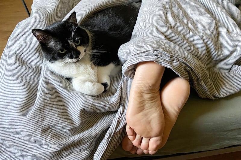 GettyImages-1222773434_uij80y