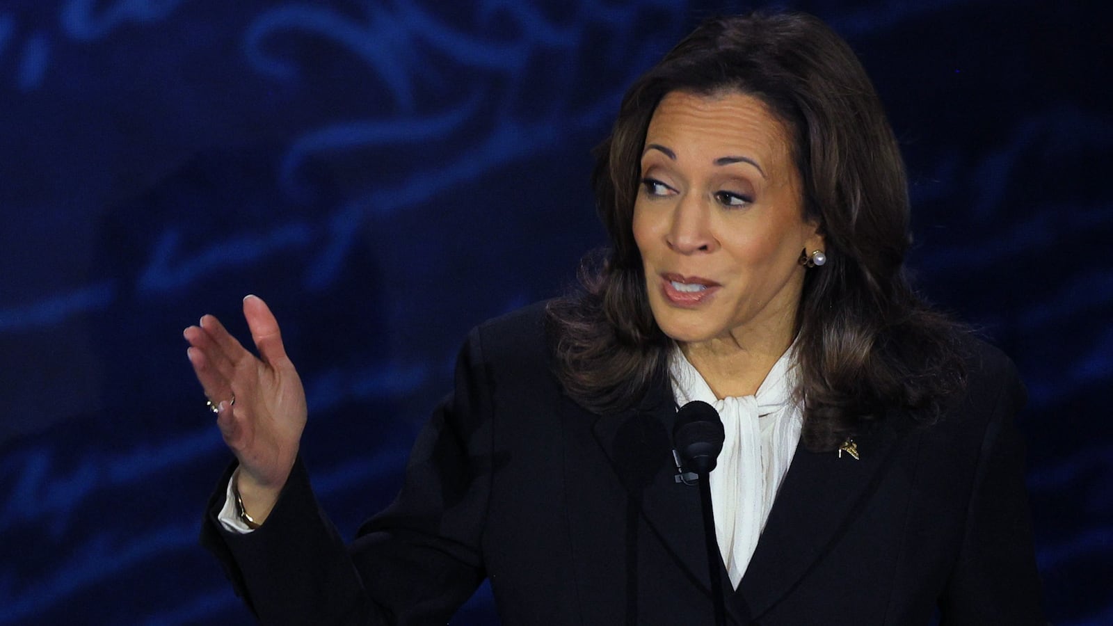 Kamala Harris told Donald Trump that she and Tim Walz both own guns during the presidential debate.