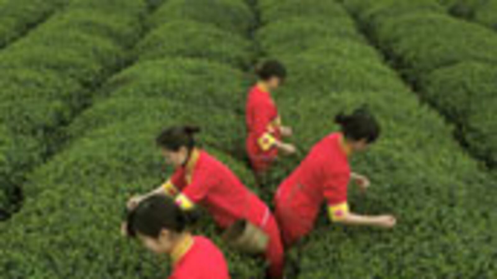 articles/2010/06/16/chinese-women-suicide-and-killer-pesticides/shank-chinese-women_104583_qoyypp