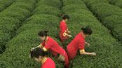 articles/2010/06/16/chinese-women-suicide-and-killer-pesticides/shank-chinese-women_104583_qoyypp