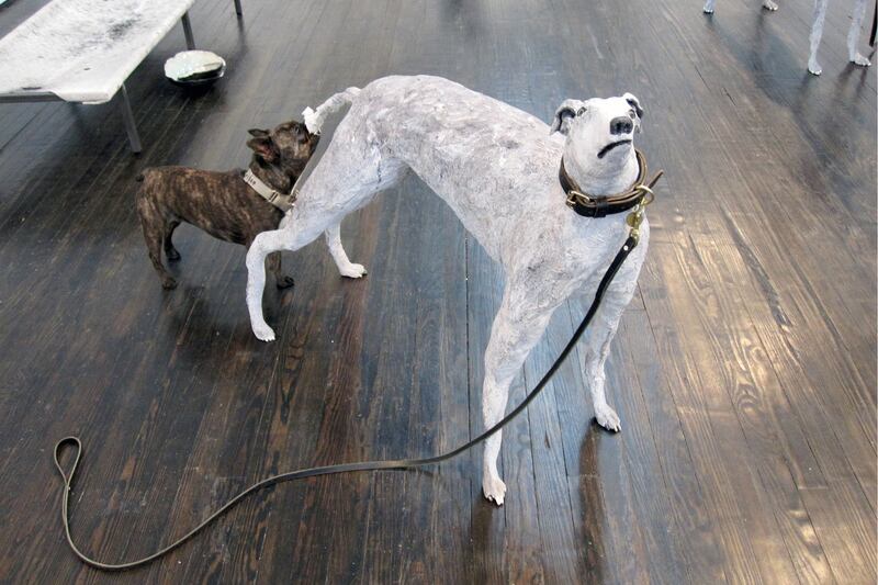 galleries/2015/03/10/meet-pickle-the-art-world-s-favorite-canine-blogger/150309-pickles-art4_c0iakh