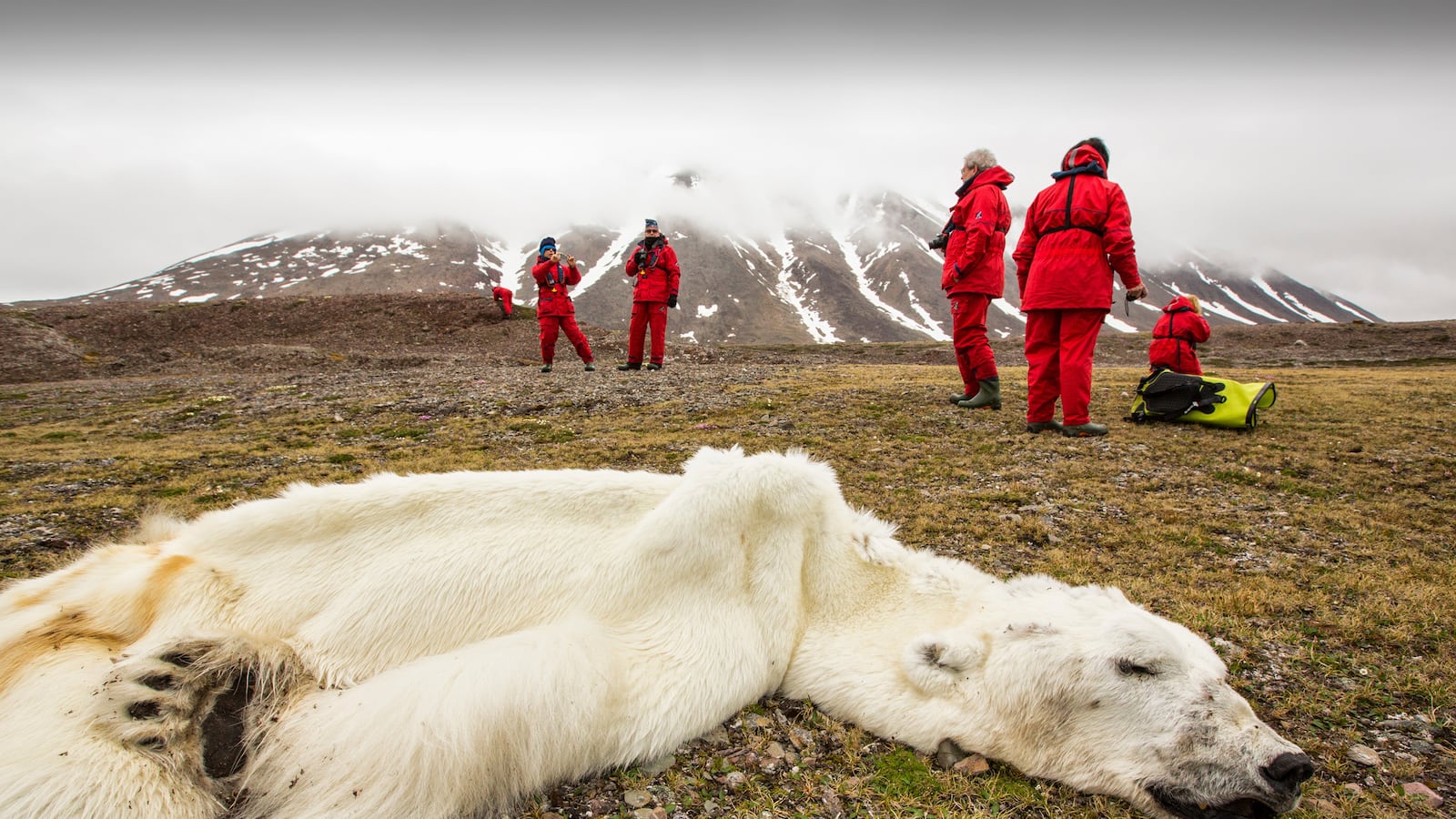 galleries/2015/04/22/the-gluttony-of-humanity/150413-over-book-02_ooczln