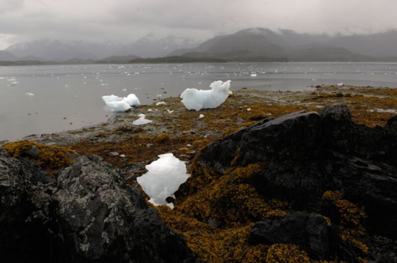 galleries/2009/12/04/extreme-ice-melt/extreme-ice-survey-8_bfvvju