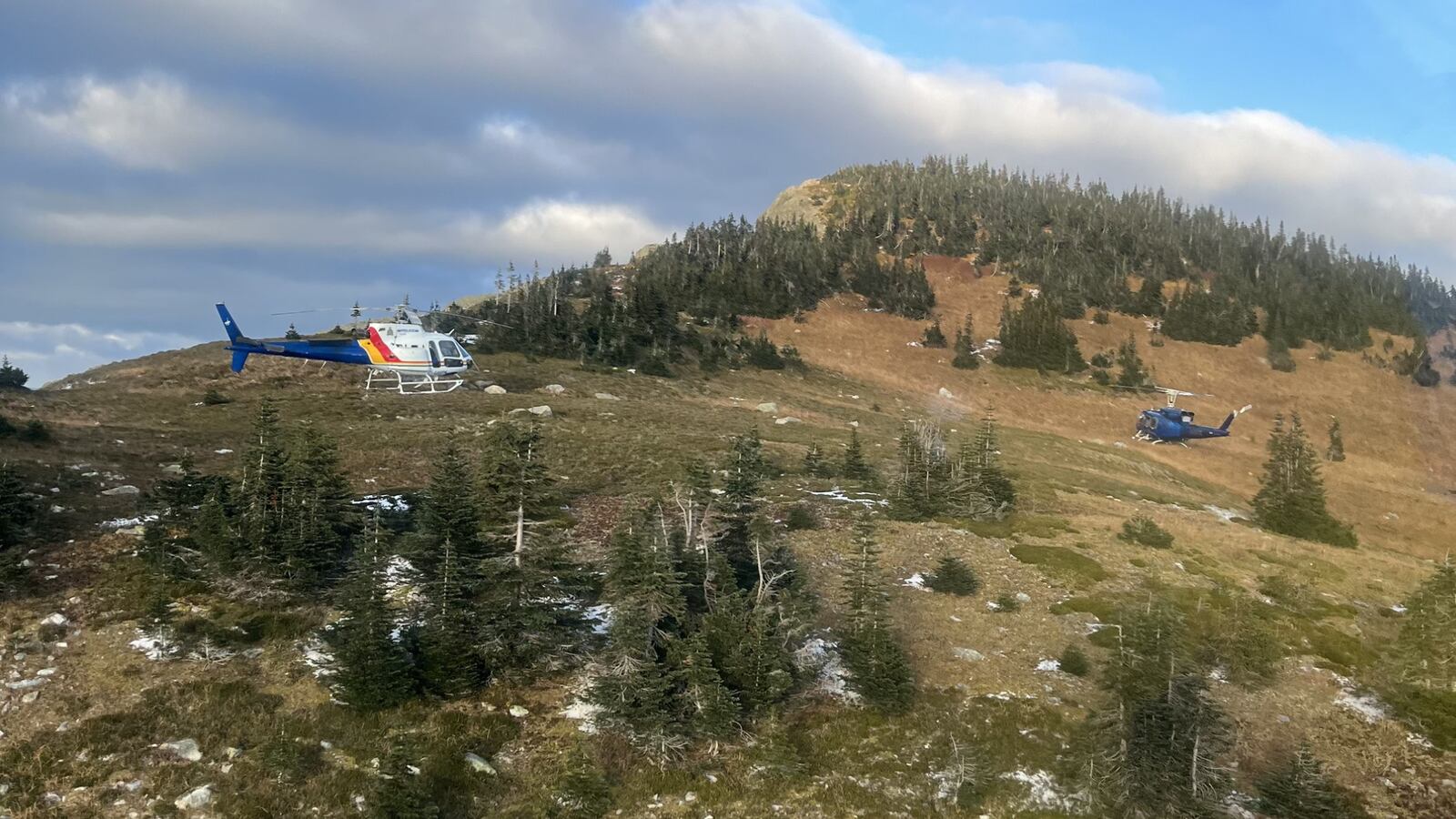 Farm Cabin Trail near Pass Lake, B.C.
https://www.facebook.com/photo/?fbid=1232221385599449&set=a.300032058818391