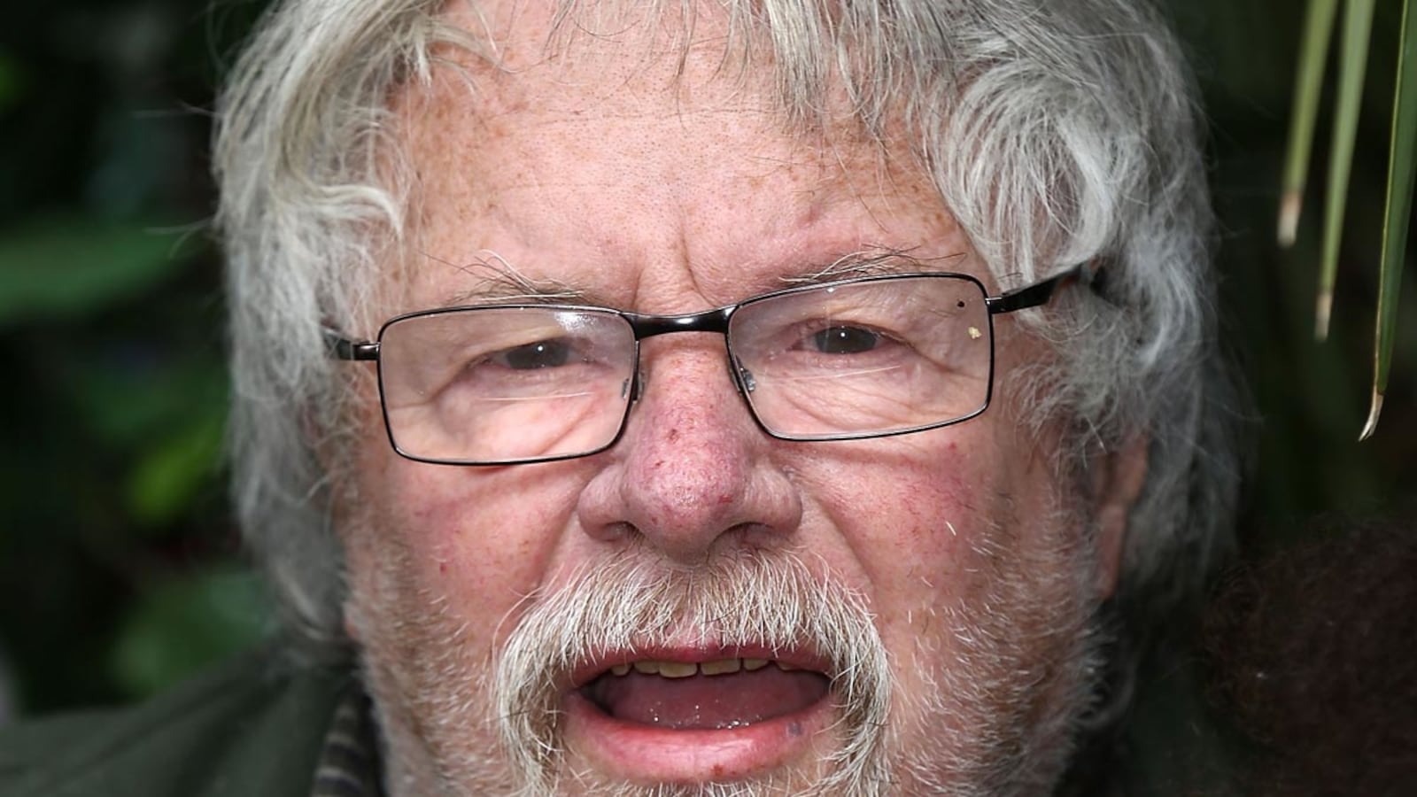articles/2014/07/07/bill-oddie-let-s-put-the-royals-in-a-zoo/oddie_ia1lwg