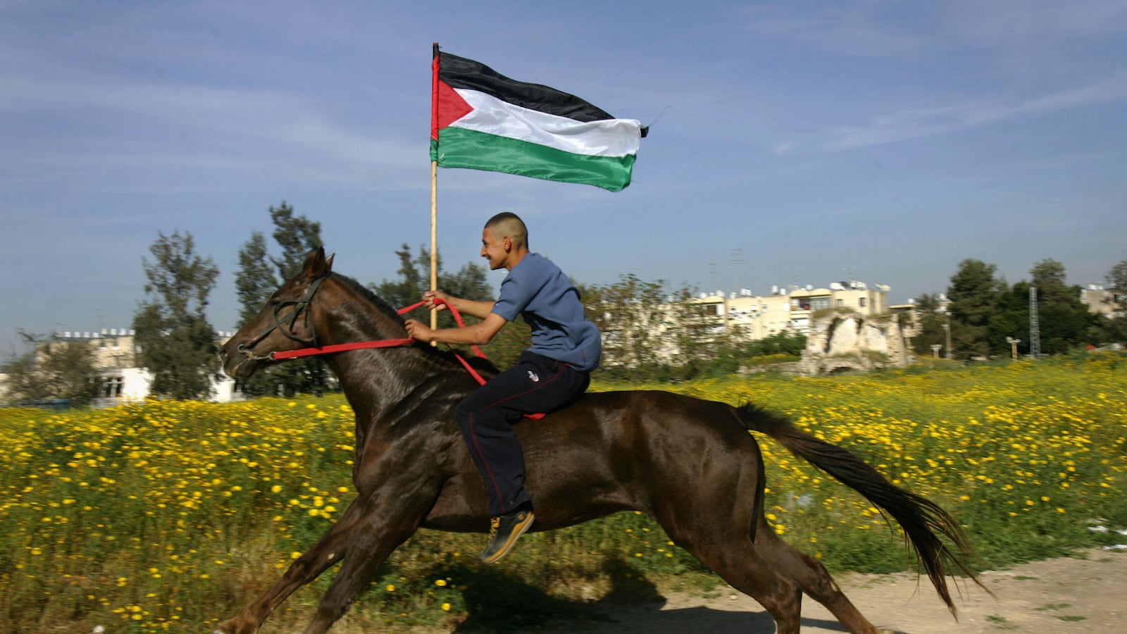 articles/2012/08/21/gil-troy-responds-to-yousef-munayyer/israeli-arab-horse-openz_elofc7