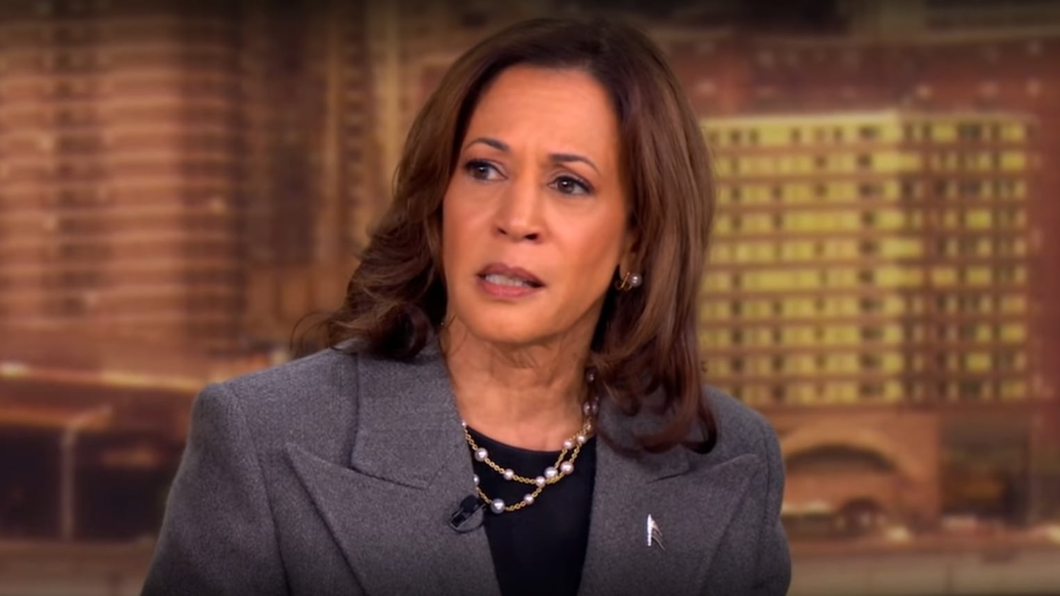 Kamala Harris on The View