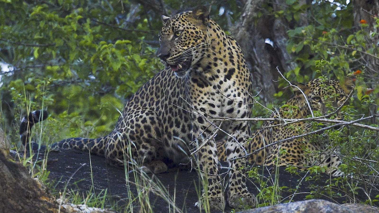 GettyImages-1232079735_r4gshu