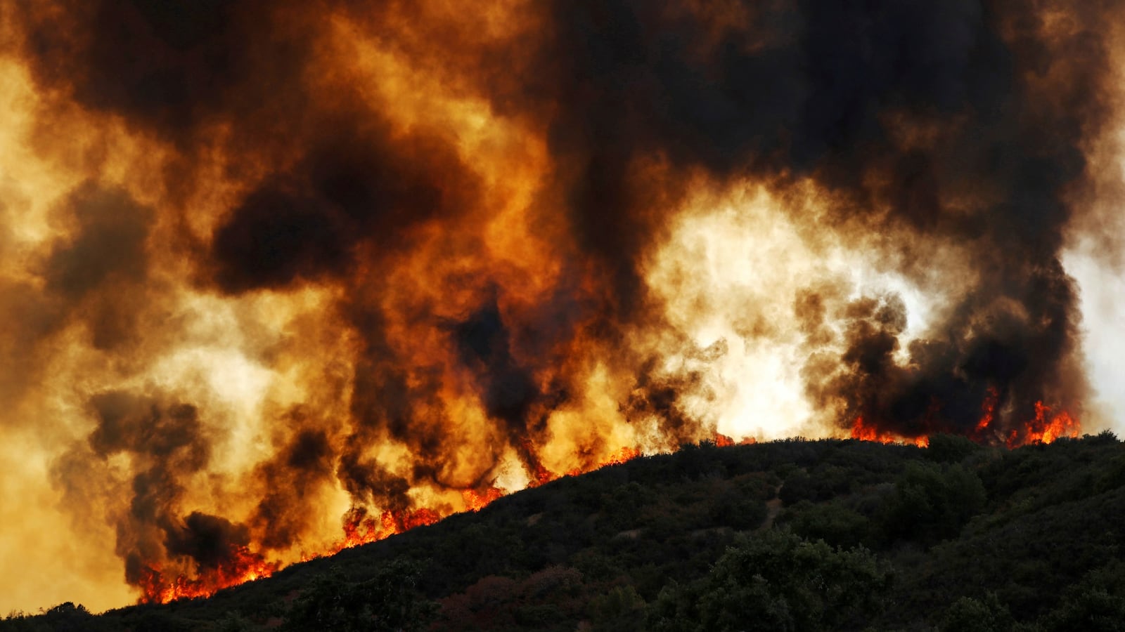 180806-california-wildfire-largest-ever-cheat_gnkr17