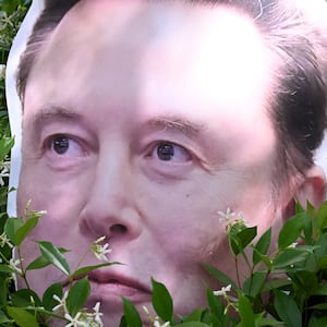 An Elon Musk sign hides out in a bush near proceedings in the trial over Elon Musk's lawsuit against OpenAI in Oakland, California, earlier this year.