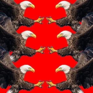 A photo illustration of bald eagles attacking each other.