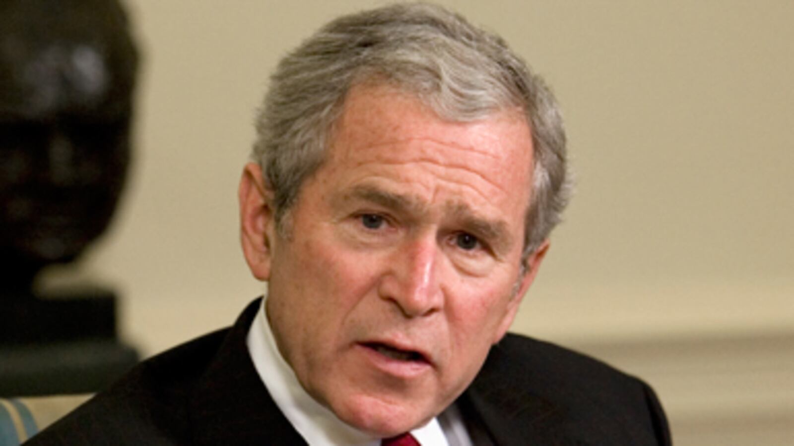 cheats/2010/11/30/bush-keep-up-the-aids-fight/curtis-bush-book_140311_srfo91