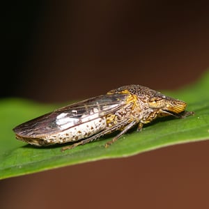 GettyImages-1351104249_kkguoj