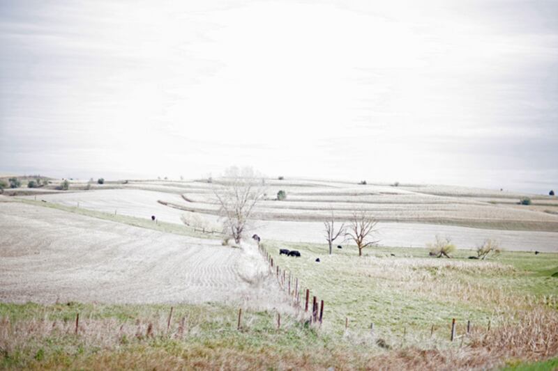 galleries/2010/12/10/america-s-25-coldest-cities/coldest-cities---sioux-city_rams0f