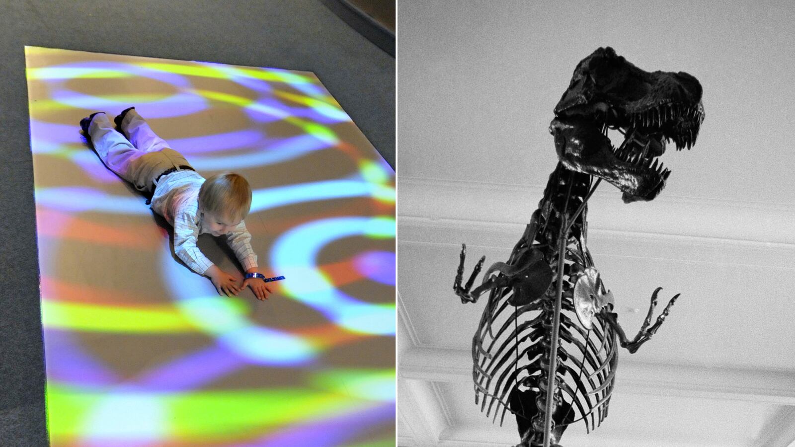 cheats/2013/02/19/wesleyan-students-kicked-out-of-museum/130219-wesleyan-ct-bender-tease_uowlcv