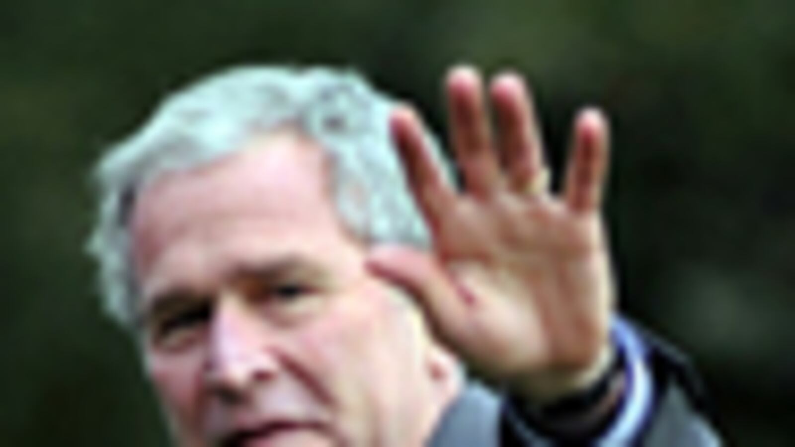 cheats/2009/03/19/bush-book-deal-worth-7-million/george-bush-memoirs_18525_bhhhpn