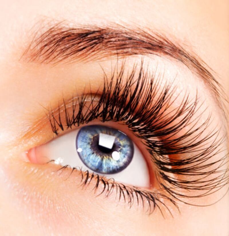 galleries/2010/06/23/ridiculous-plastic-surgeries/ridiculous-surgery---eyebrow-and-eyelash-transplants_cubpsb