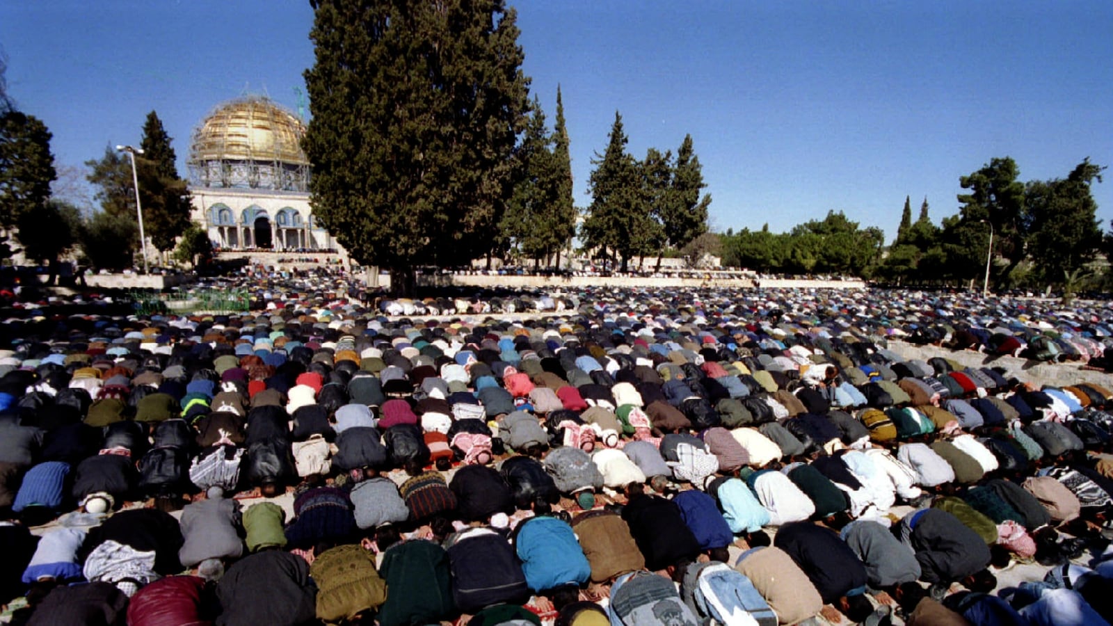 cheats/2016/10/14/israel-halts-unesco-ties-over-holy-sites/161014-israel-unesco-cheat_xhjjzu