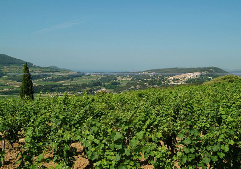 galleries/2010/08/03/summer-foods-alice-waters/summer-food---alice-waters-4_wzsipq