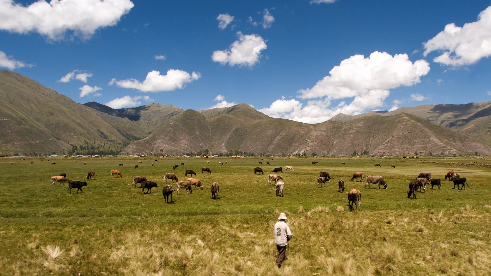 Peruvian altiplano landscape seen from inside the Andean Explorer train Orient Express which runs between Cuzco and Puno. Altiplano is a high plateau that towers over the southern Andes, the longest mountain range in the world. It is a sediment filled depression between the eastern and the western chains of the Andes.