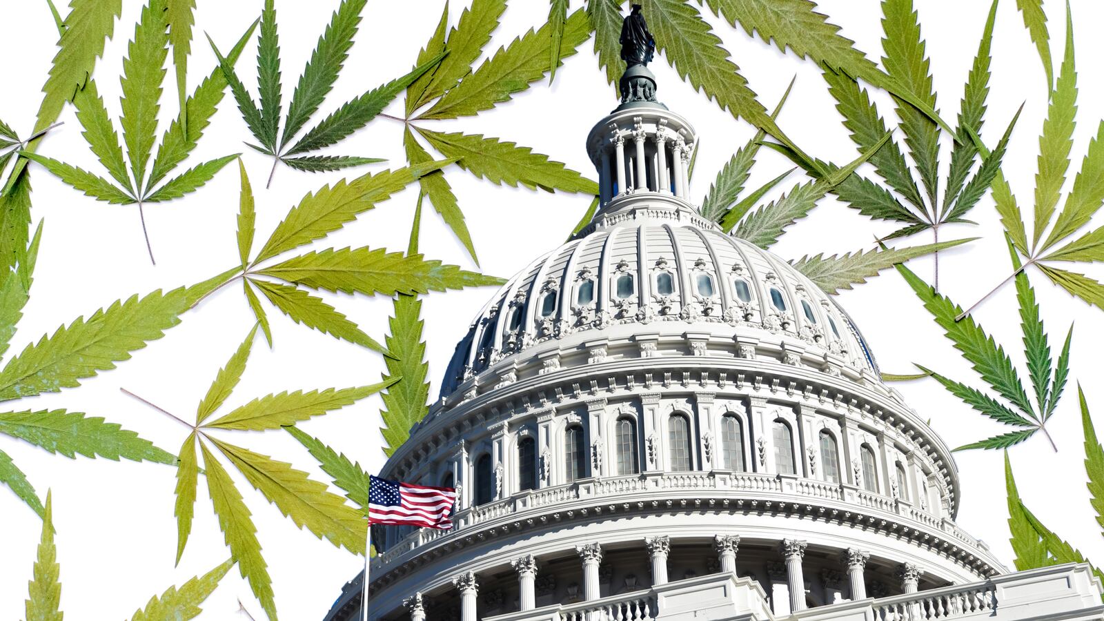 articles/2014/11/05/d-c-legalizes-grow-and-give-policy/141105-haglage-weed-tease_ronhr0