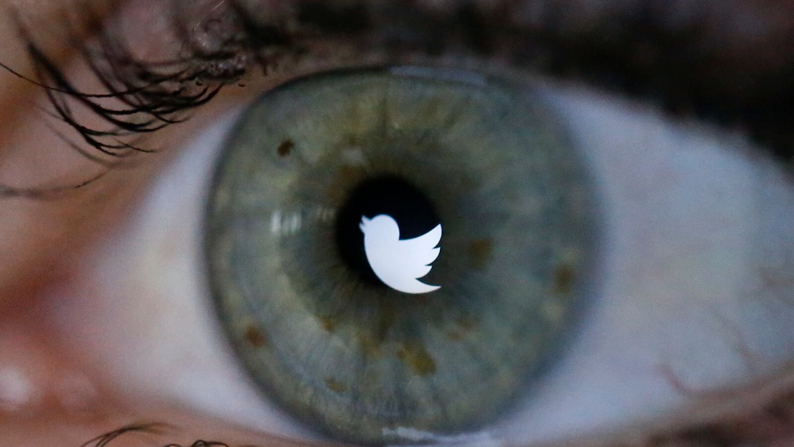 The Twitter logo reflected in the eye of a woman